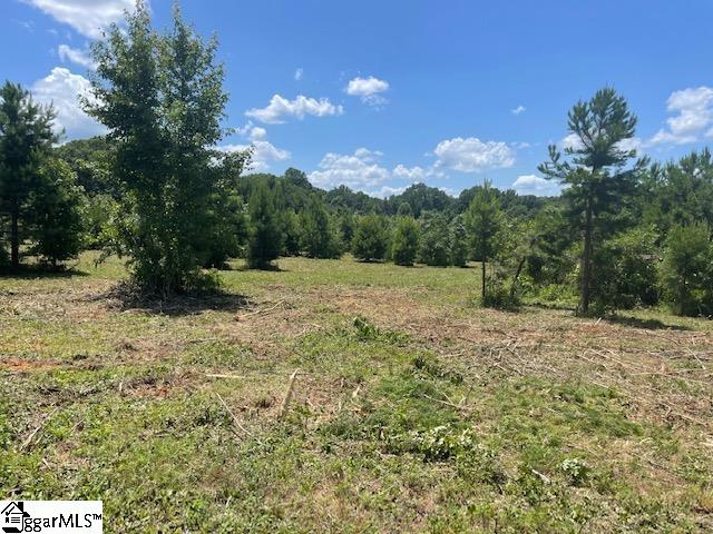 Canty Road Pelzer, SC 29669 - Photo 9 of 9