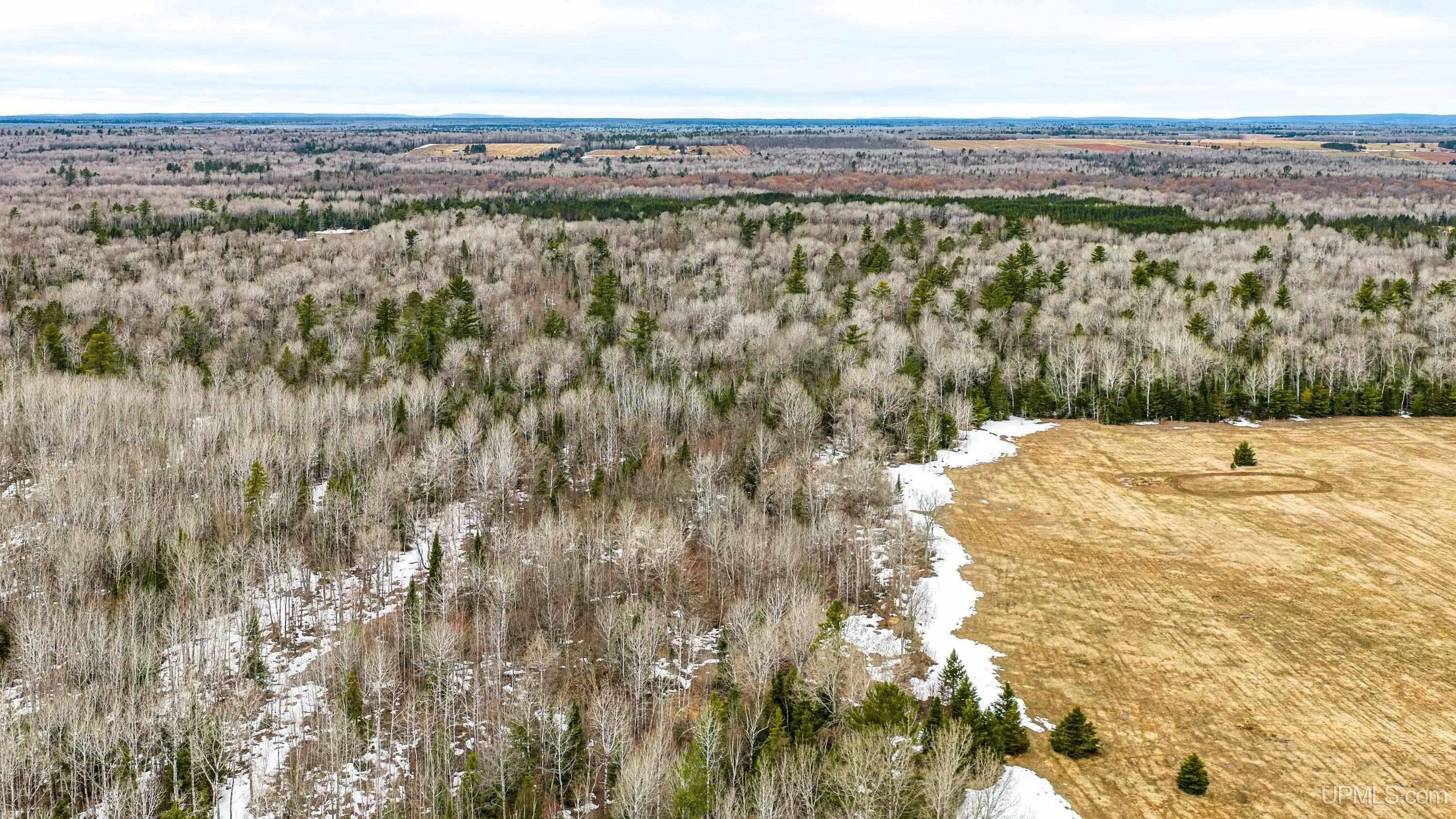 Tbd Off Of Choate Road, Unit NO INSURABLE LEGAL ACCESS Ewen, MI 49925 - Photo 3 of 30