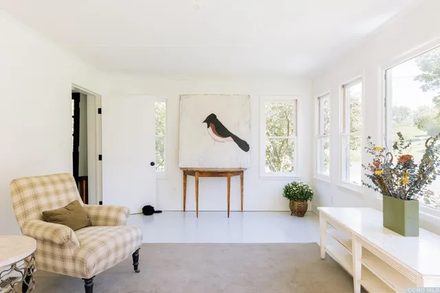 a living room with furniture and potted plant