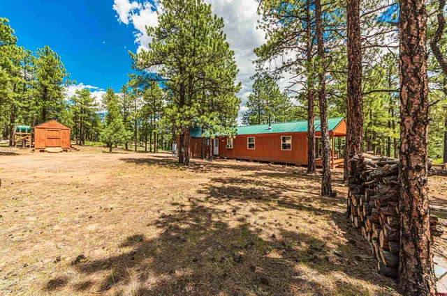 a outdoor space with lots of trees