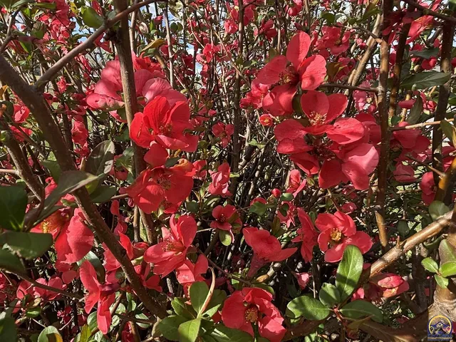 $199,900 | 704 Locust Street, Cottonwood Falls, KS 66845