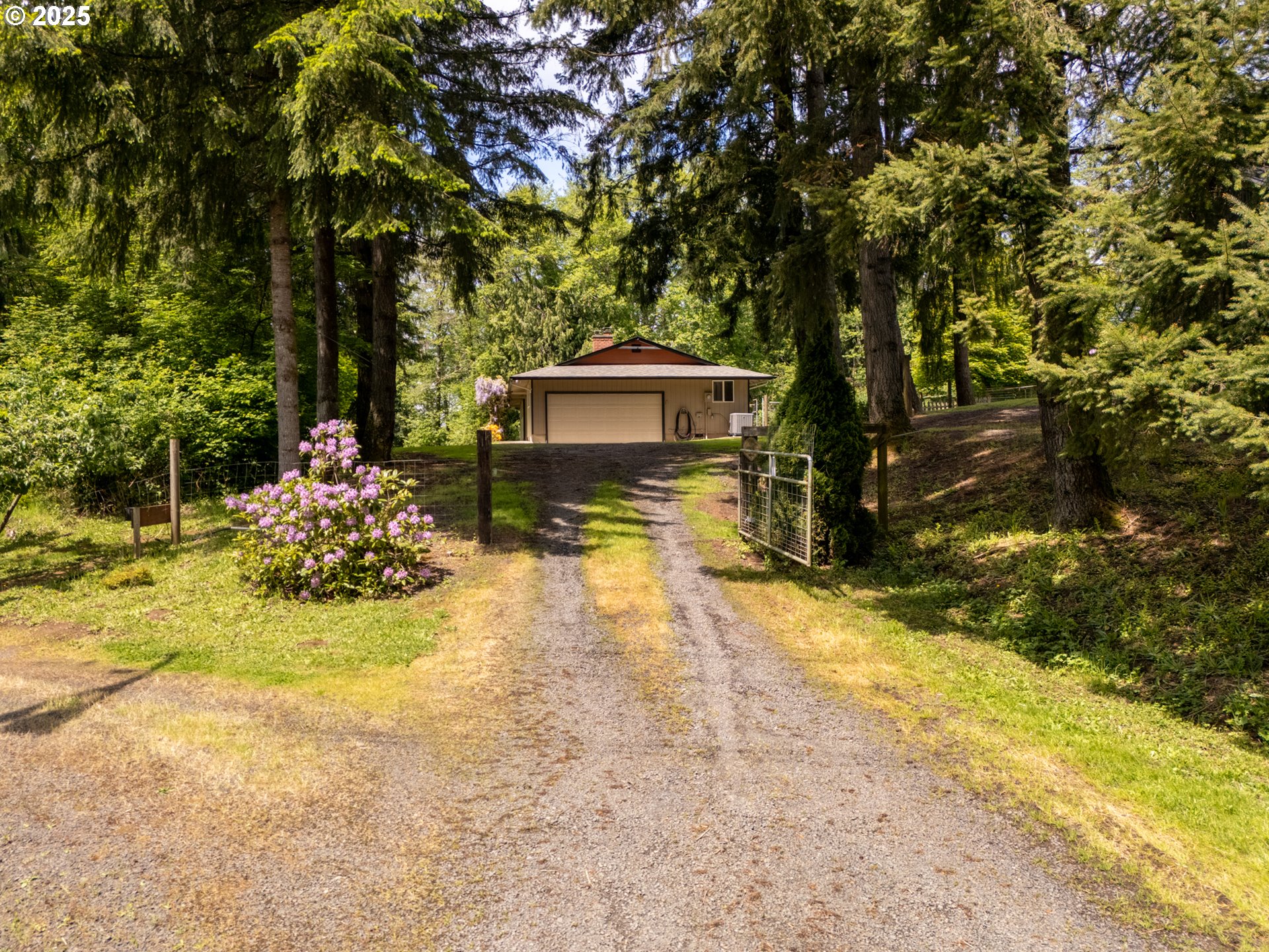 31052 Brownlee Road Rainier, OR 97048 - Photo 1 of 47 a view of a yard with plants and trees