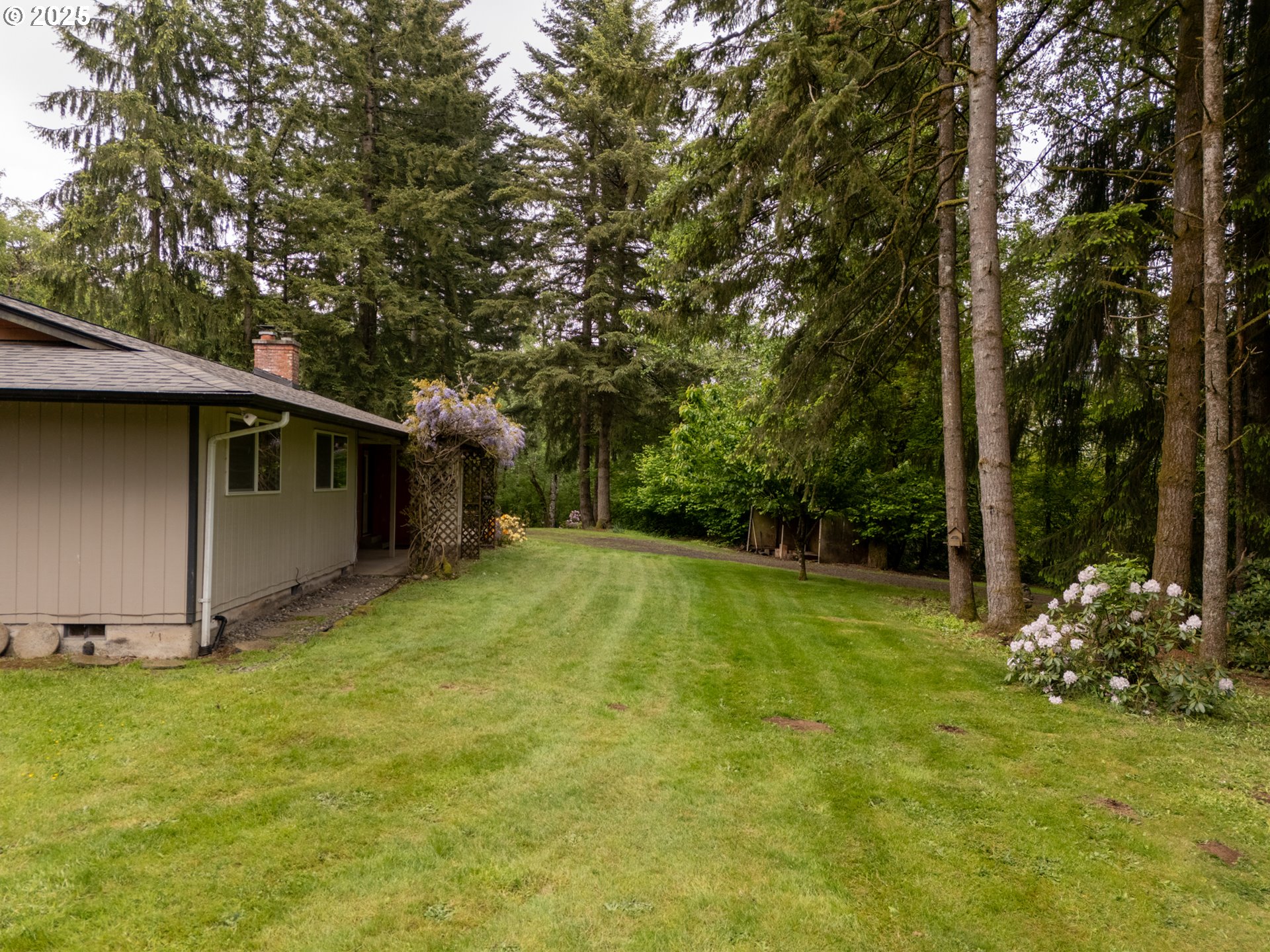 31052 Brownlee Road Rainier, OR 97048 - Photo 13 of 47 a backyard of a house with lots of green space