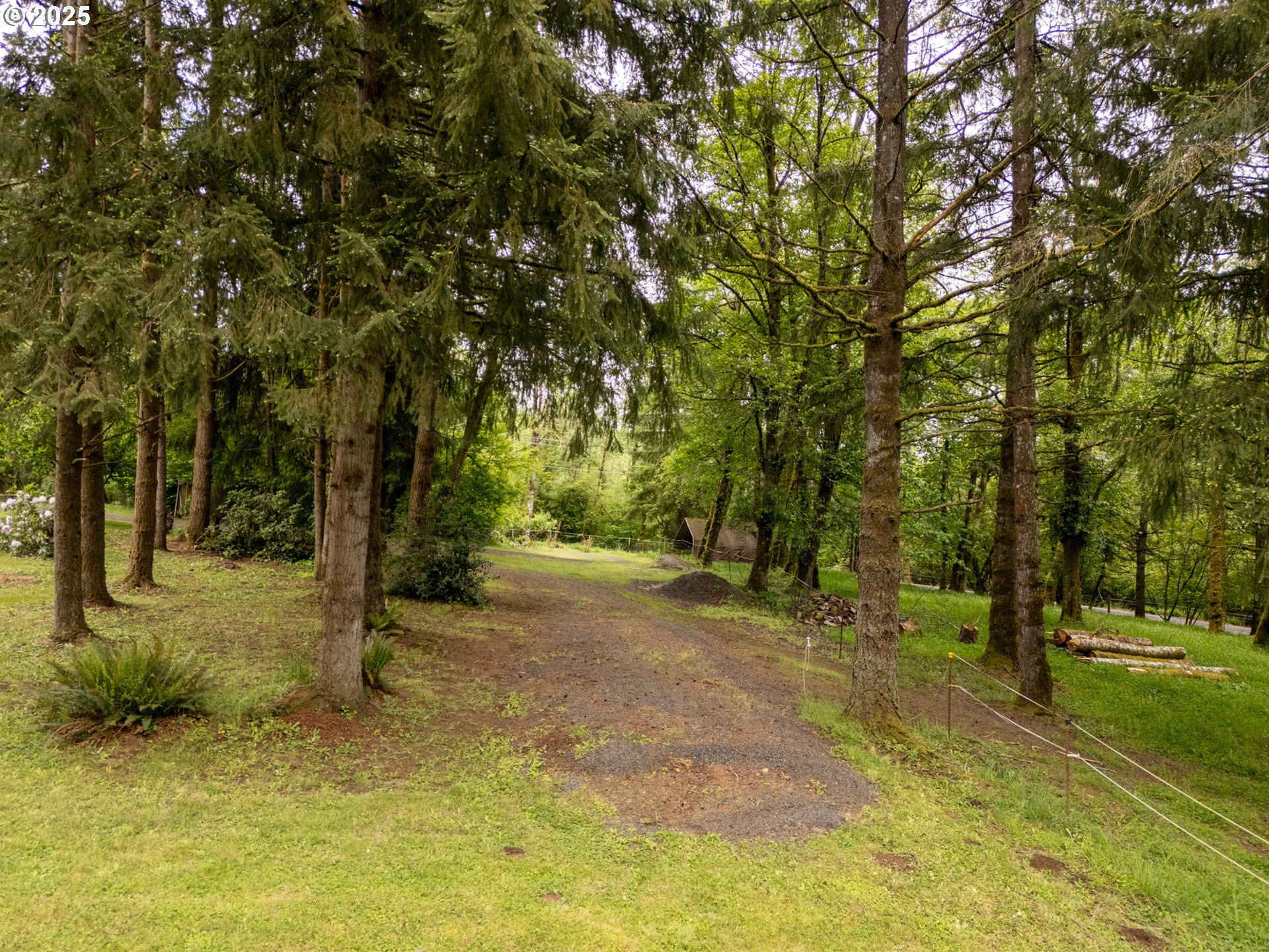 31052 Brownlee Road Rainier, OR 97048 - Photo 20 of 47 a view of a field with trees in the background