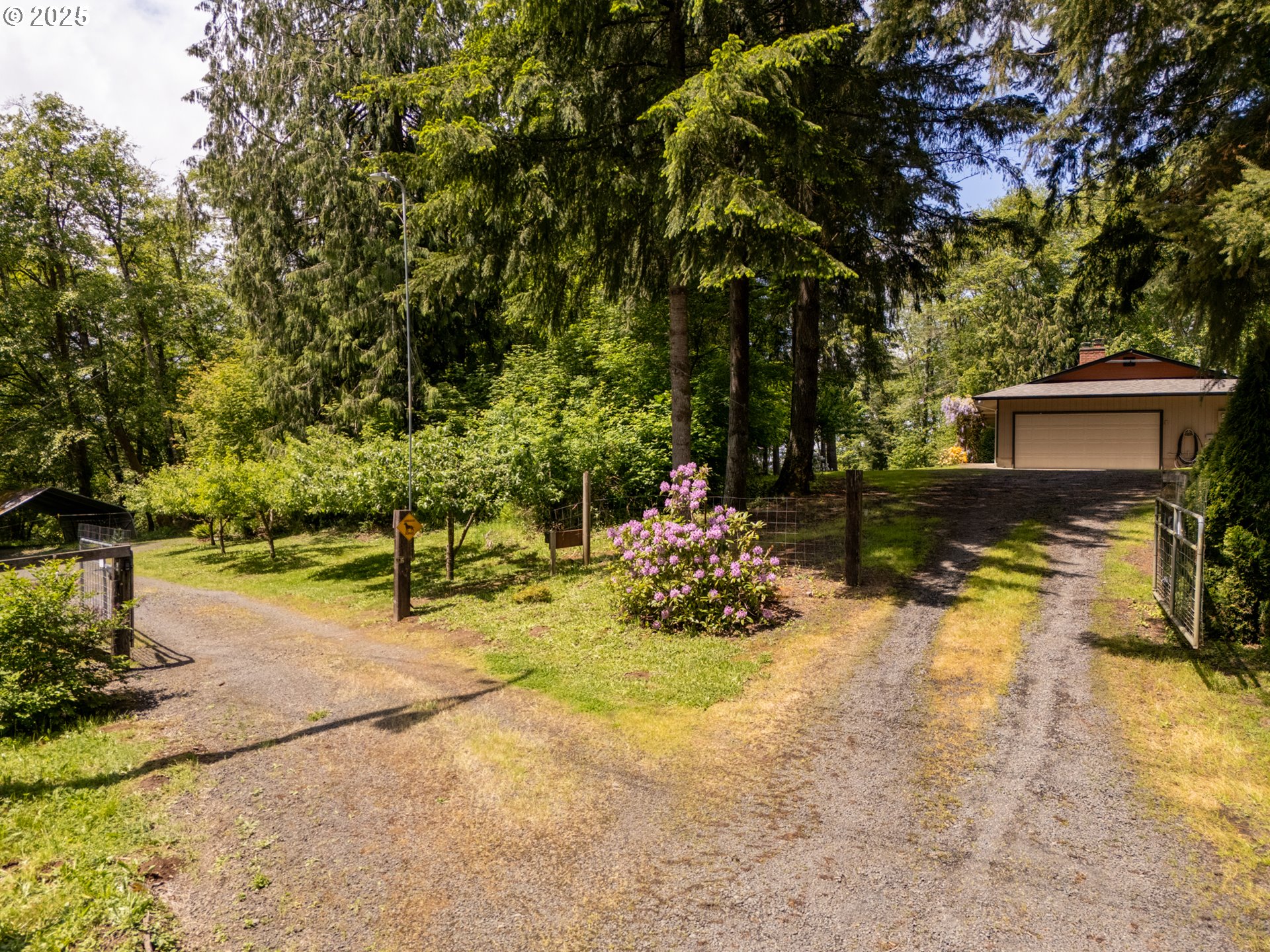 31052 Brownlee Road Rainier, OR 97048 - Photo 2 of 47 a view of a yard with plants