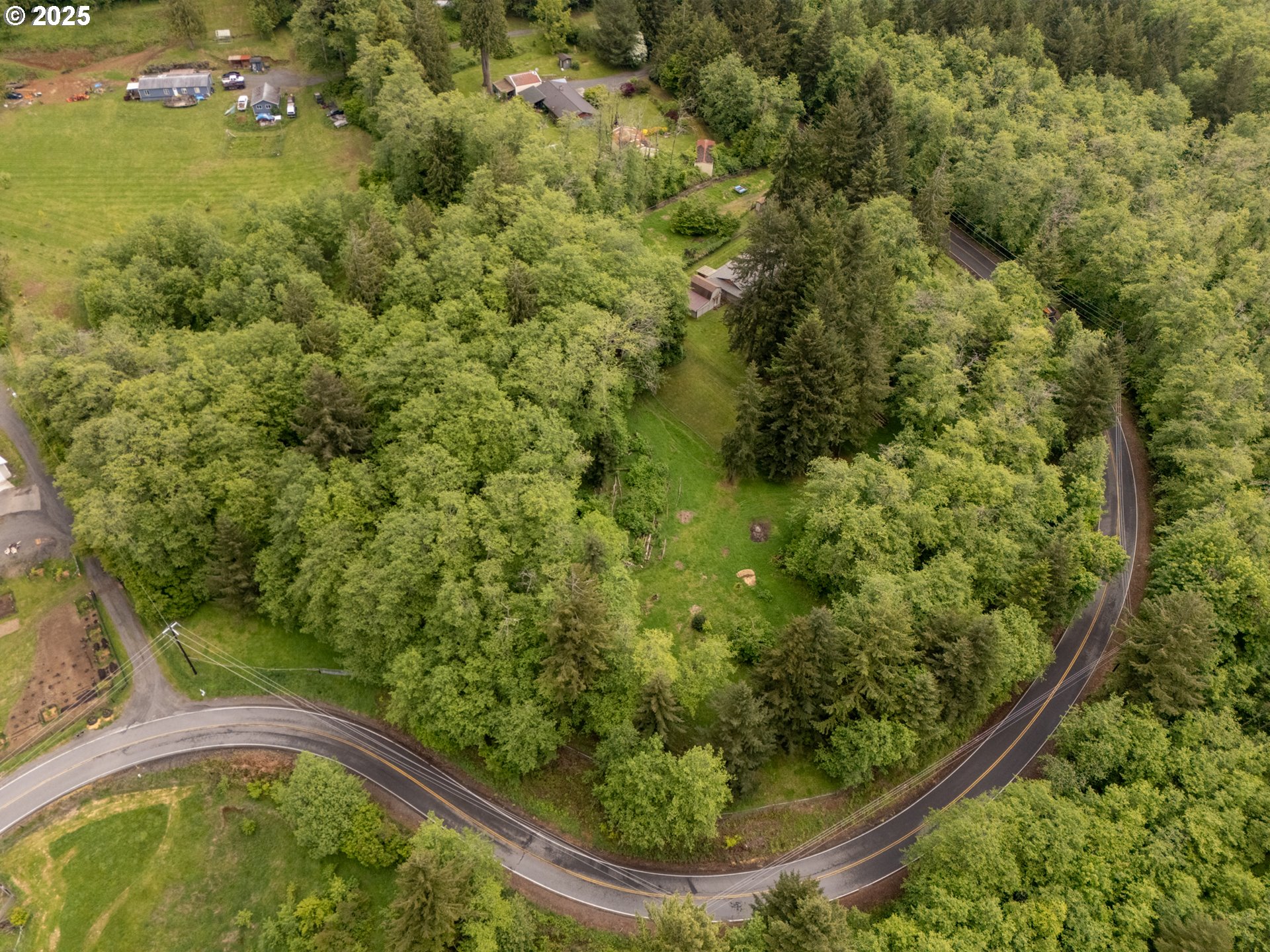 31052 Brownlee Road Rainier, OR 97048 - Photo 25 of 47 a view of a yard