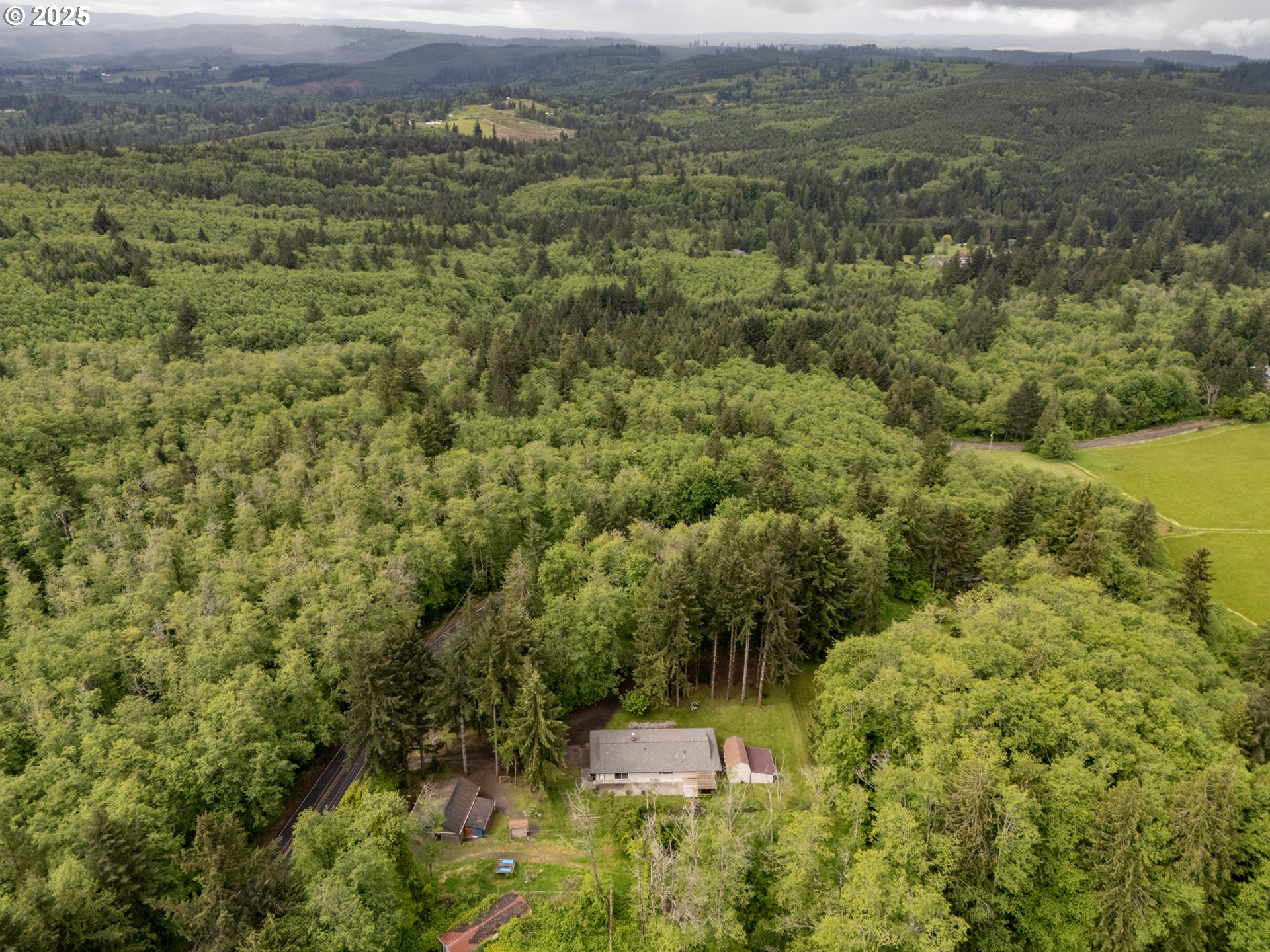 31052 Brownlee Road Rainier, OR 97048 - Photo 29 of 47 a view of a forest with a street