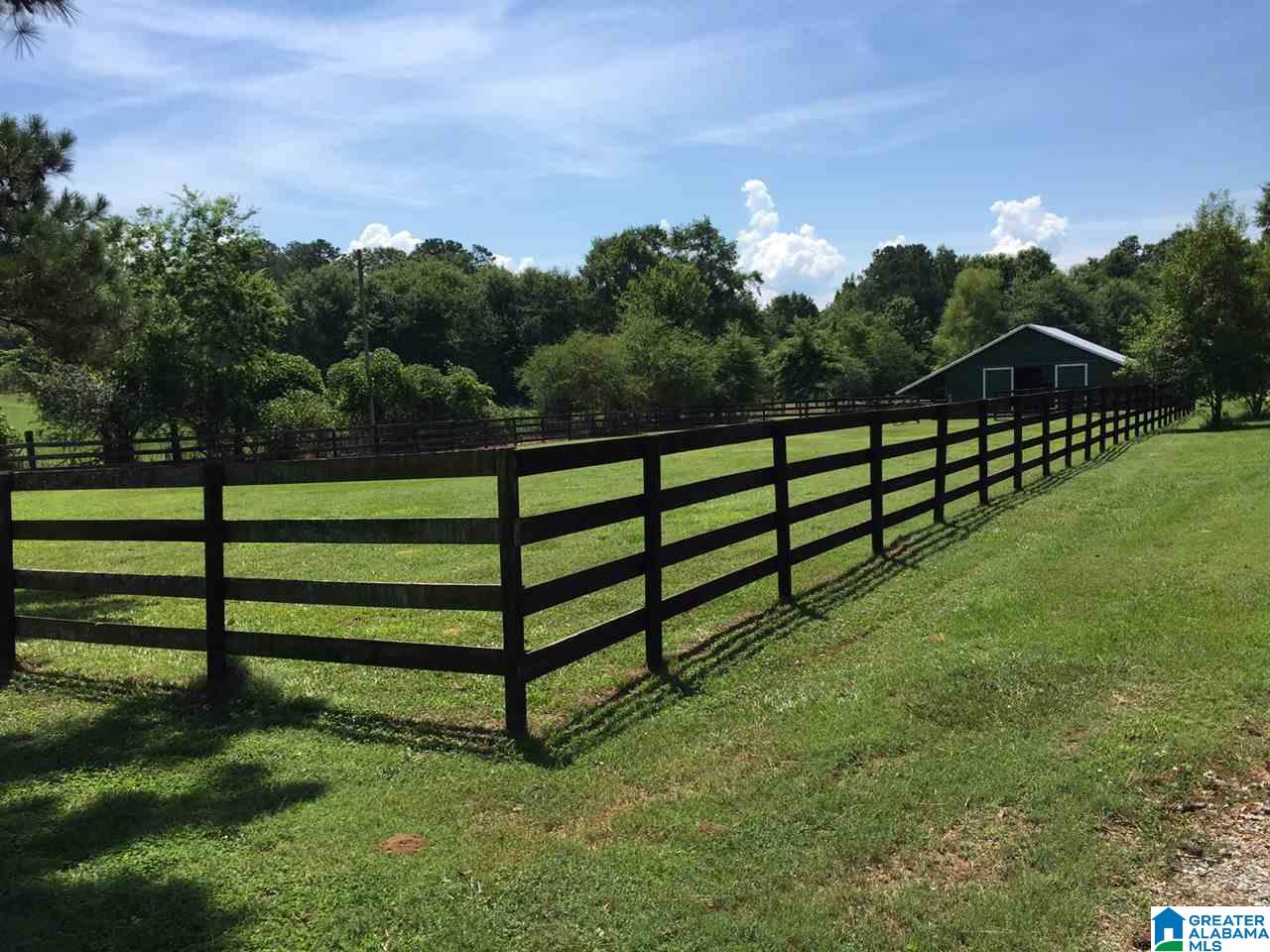 366 Parker Road Cropwell, AL 35054 - Photo 23 of 46