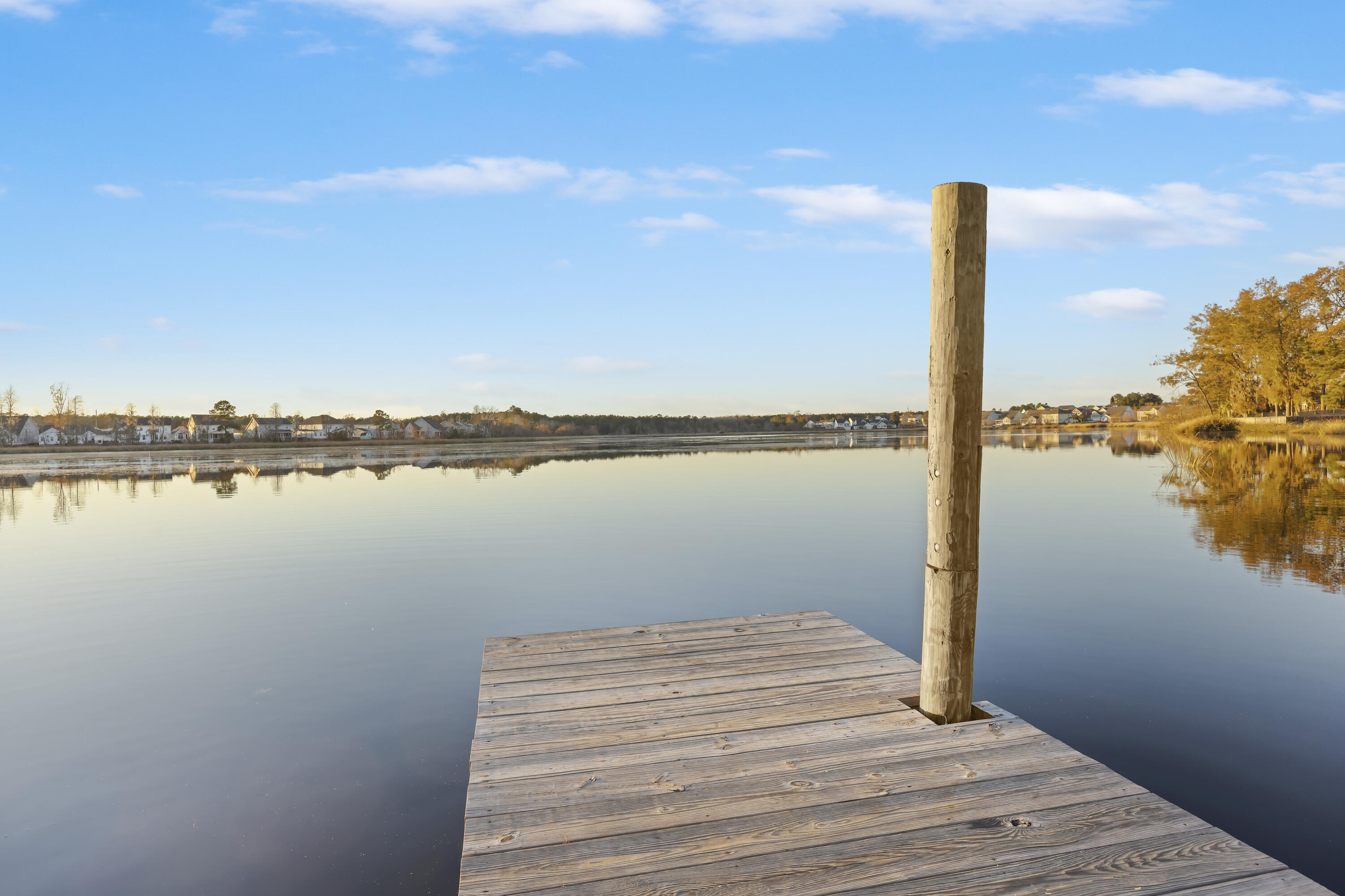 622 Pendleton Drive Moncks Corner, SC 29461 - Photo 49 of 54 243A1719