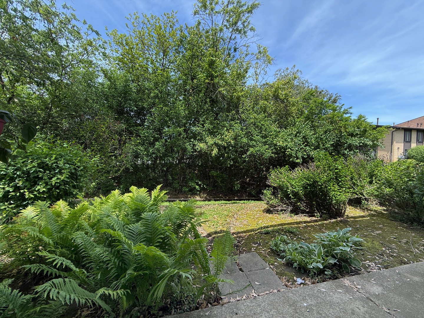 258 Brookside Lane, Unit B Willowbrook, IL 60527 - Photo 21 of 21 a view of yard with green space