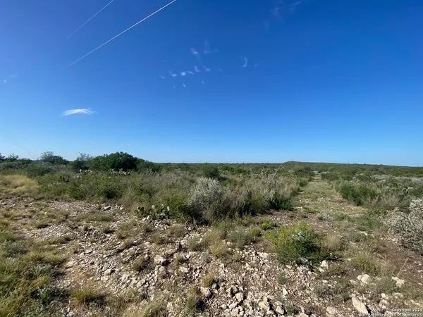 a view of a field with a mountain in the background
