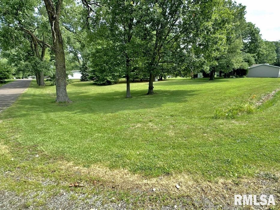 South Behrens Avenue Washington, IL 61571 - Photo 2 of 4