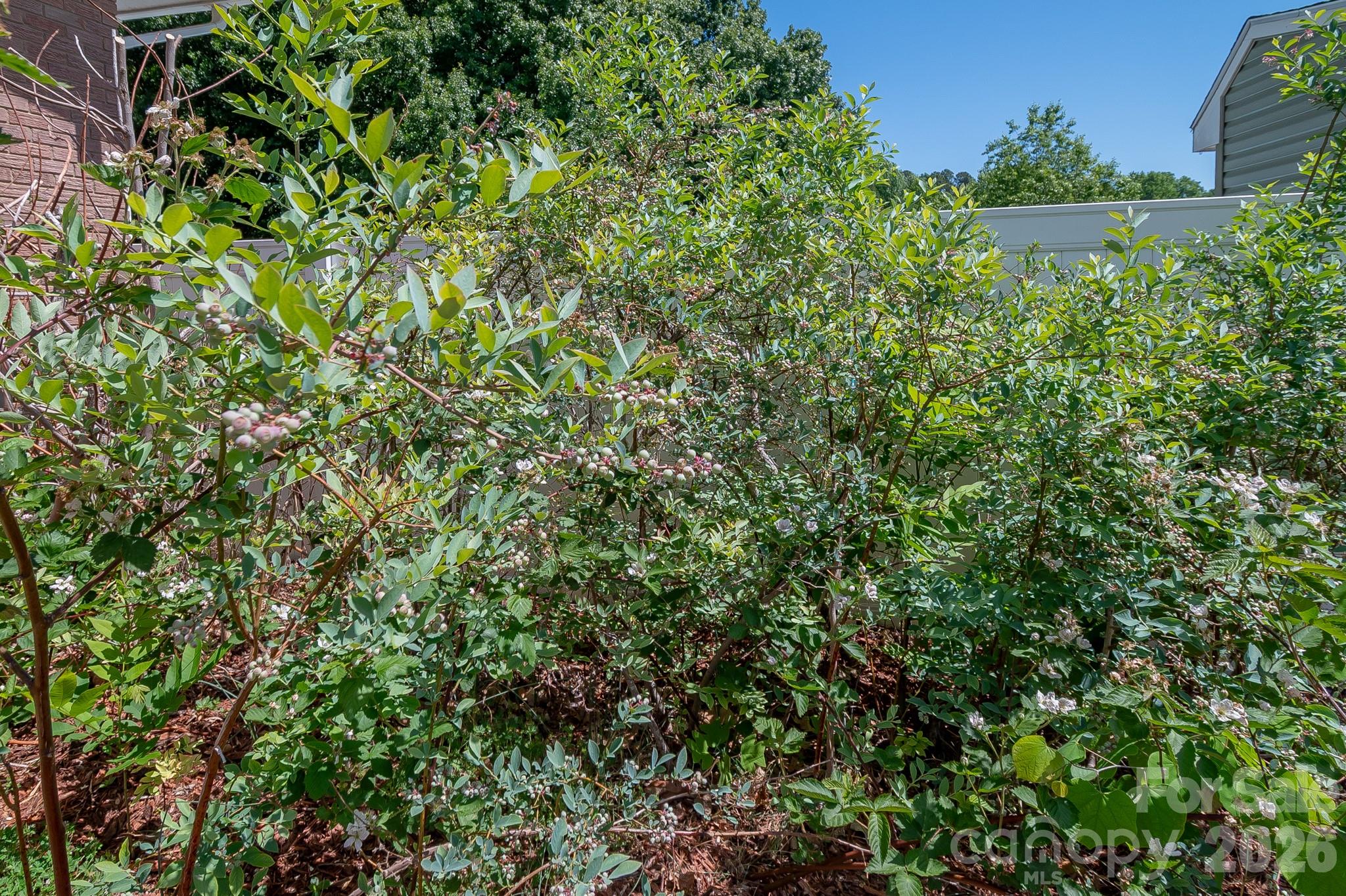 44446 Field Road New London, NC 28127 - Photo 33 of 33 Gallery Image 33