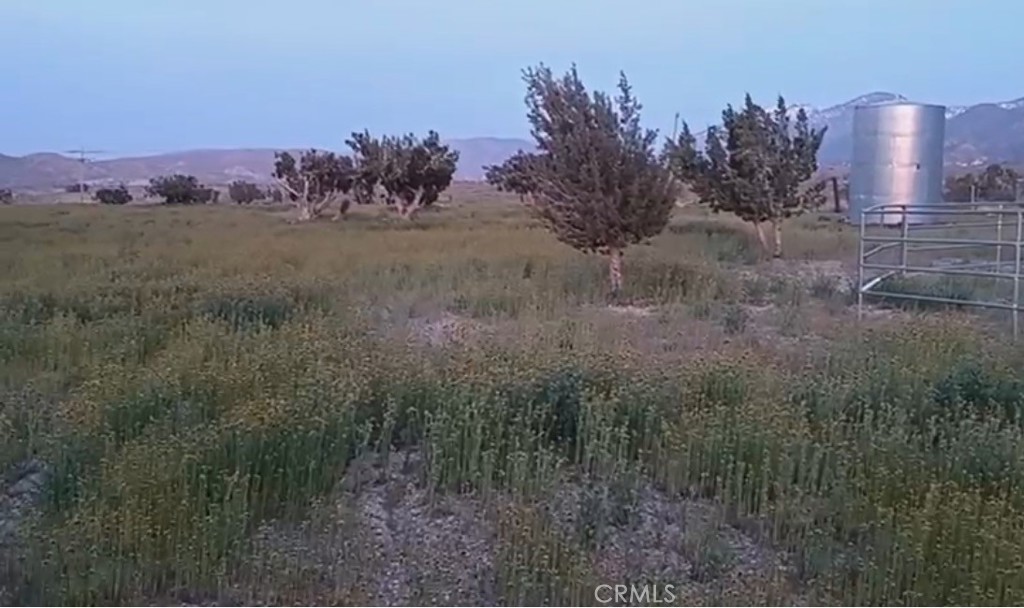 0 Vac/longview Rd/vic Murphys Road Pearblossom, CA 93553 - Photo 1 of 4 a view of a yard