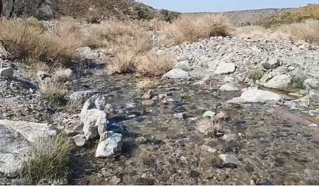 0 Vac/longview Rd/vic Murphys Road Pearblossom, CA 93553 - Photo 3 of 4 a view of a forest of a house