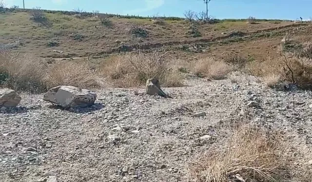 $300,000 | 0 Vac/longview Rd/vic Murphys Road, Pearblossom, CA 93553