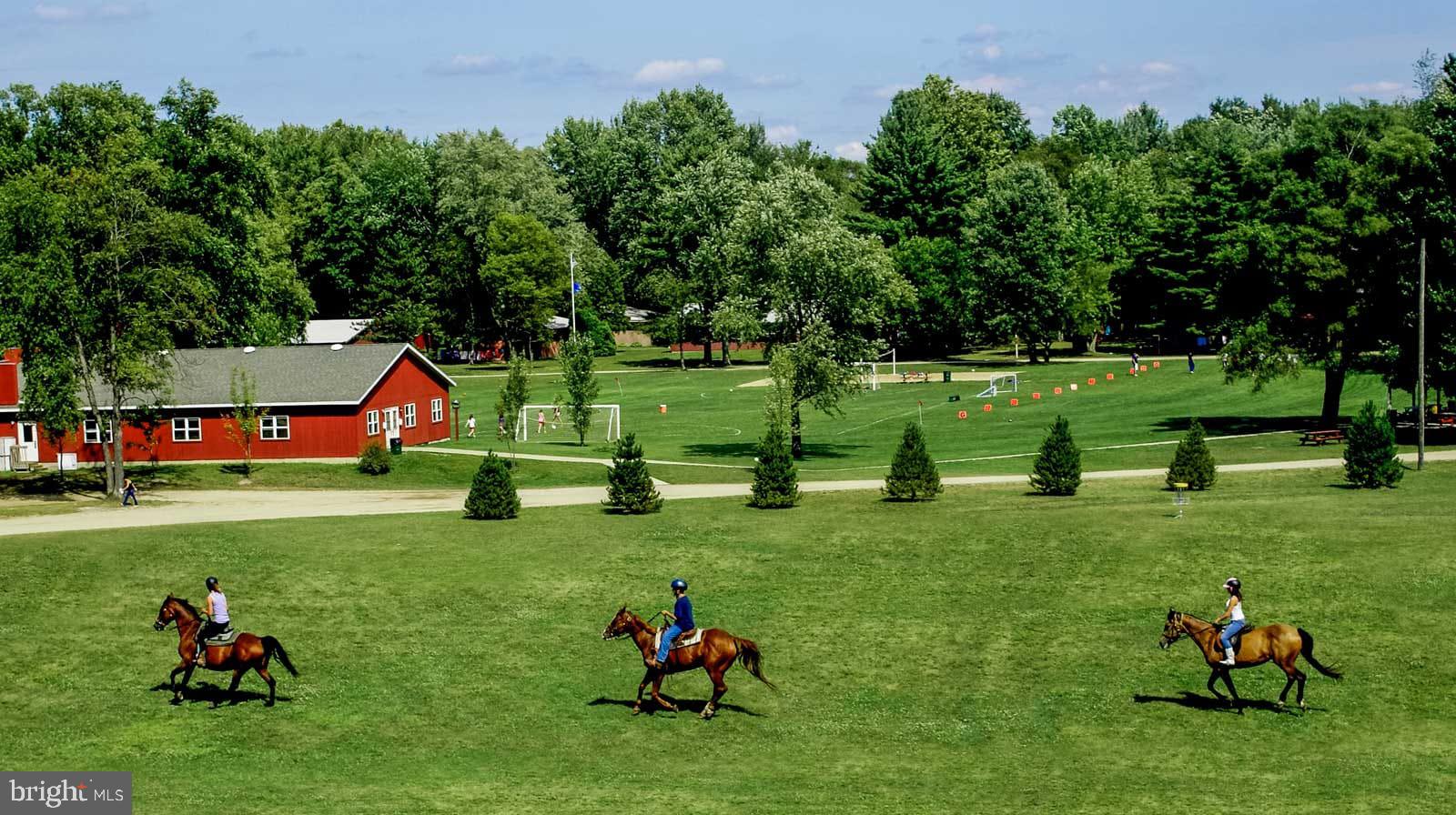 202 Constitution Boulevard Locust Grove, VA 22508 - Photo 28 of 36 a view of backyard with table and chairs