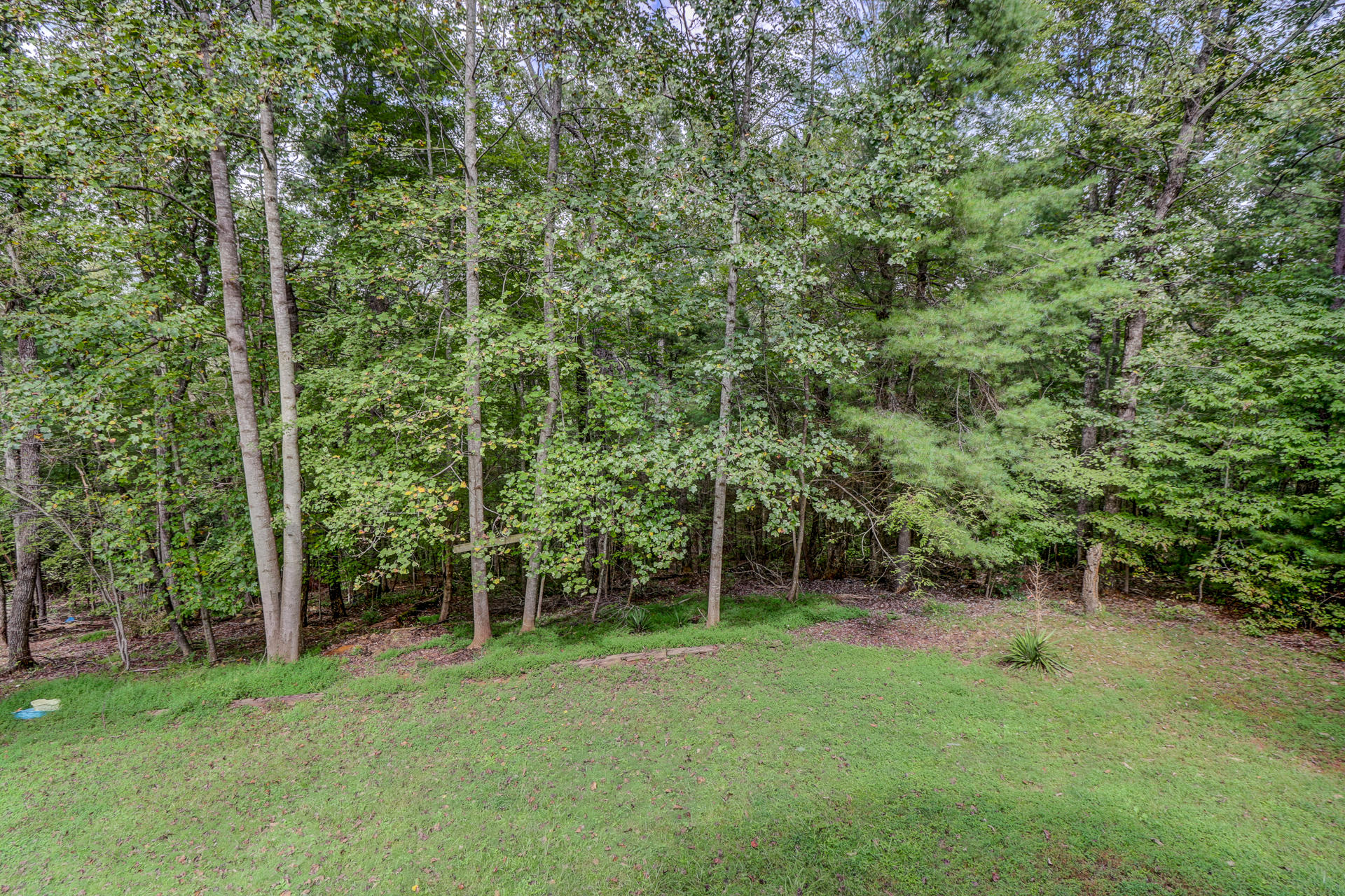 88 Ingram Road Henry, VA 24102 - Photo 13 of 34 a view of a field with trees in the background
