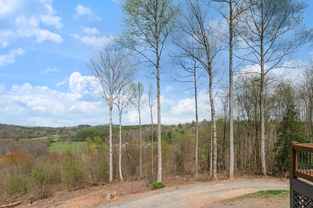 136 A Pack Creek Road Blue Ridge, GA 30513 - Photo 34 of 66 a view of a lake with a trees