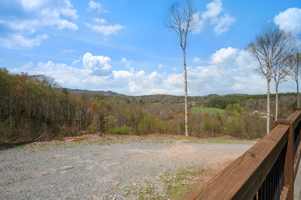 136 A Pack Creek Road Blue Ridge, GA 30513 - Photo 37 of 66 a view of a backyard