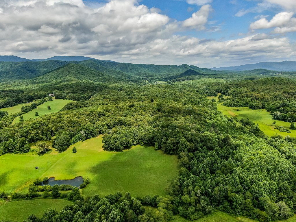 136 A Pack Creek Road Blue Ridge, GA 30513 - Photo 66 of 66 a view of a green field with lots of green space