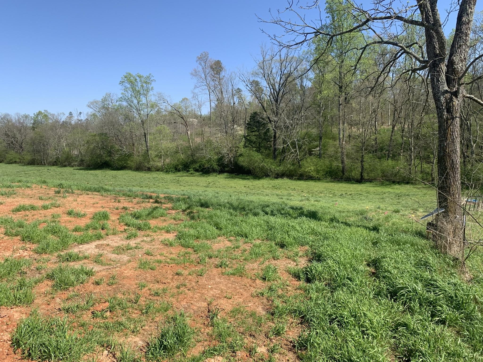 1074 Federal Road Madisonville, TN 37354 - Photo 21 of 34 Gallery Image 21