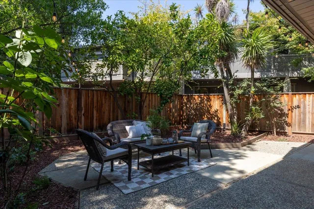 a backyard view with a couple of trees