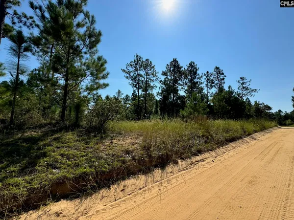 $570,000 | 0 Sardis Church Road, Swansea, SC 29160
