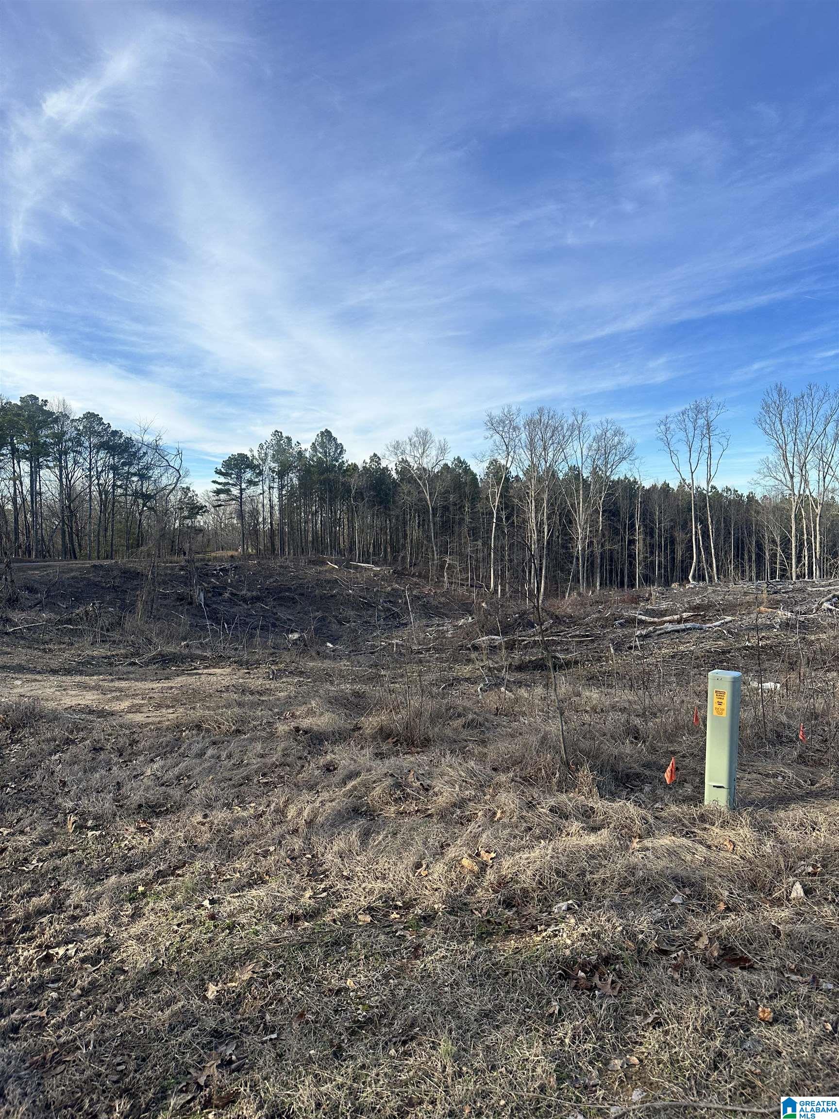 500 Haynes Road Altoona, AL 35952 - Photo 37 of 50
