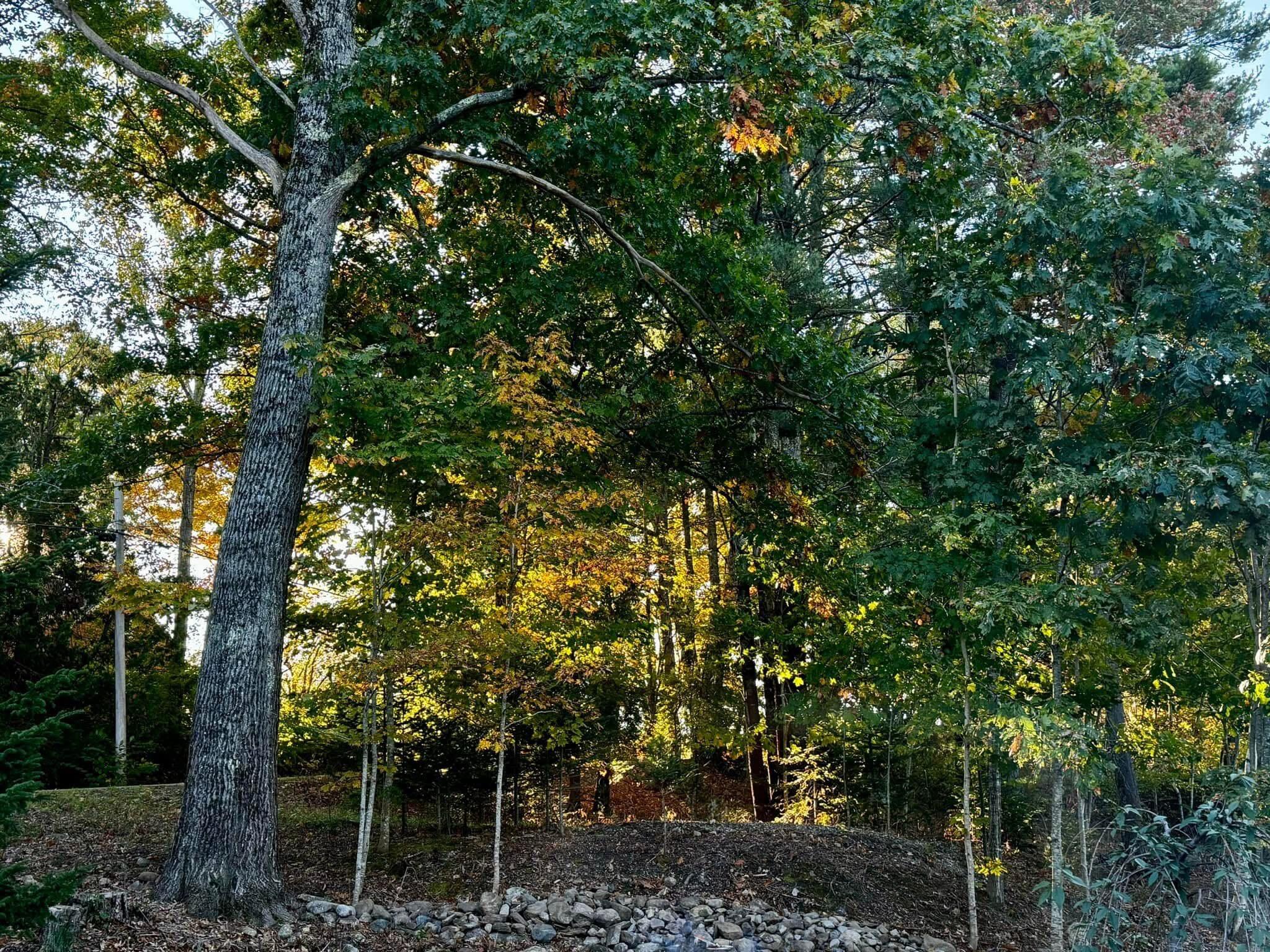 224 Tolman Road Warren, ME 04864 - Photo 74 of 75