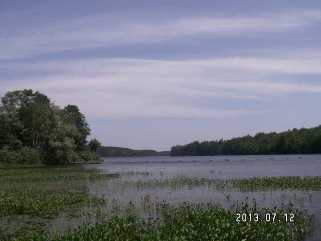 9262 Cth Road Sayner, WI 54560 - Photo 5 of 13 Gallery Image 5
