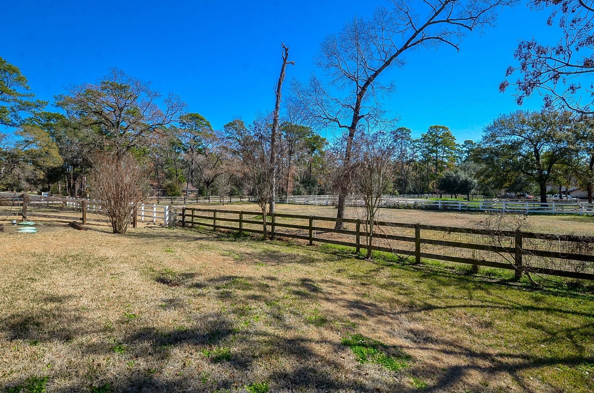 13327 Little Ranch Road Cypress, TX 77429 - Photo 10 of 49 Spacious, fenced-in yard with mature trees, ideal for privacy and enjoying outdoor activities. Perfect for nature lovers seeking a serene environment.