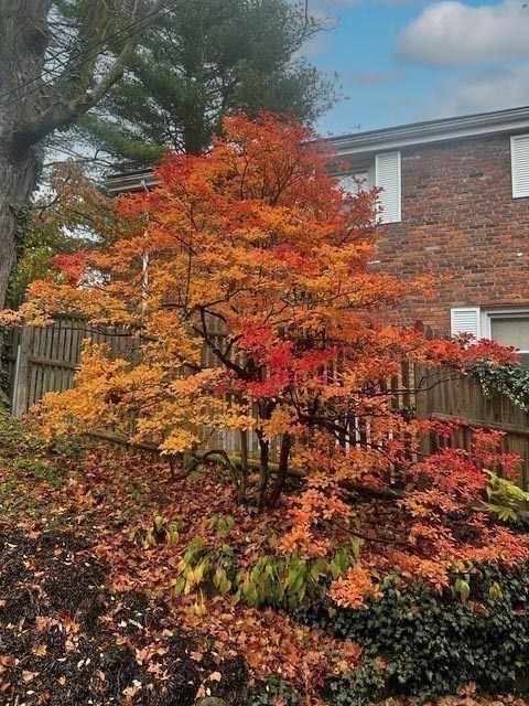 11 Kent Square, Unit 11 Brookline, MA 02446 - Photo 12 of 12