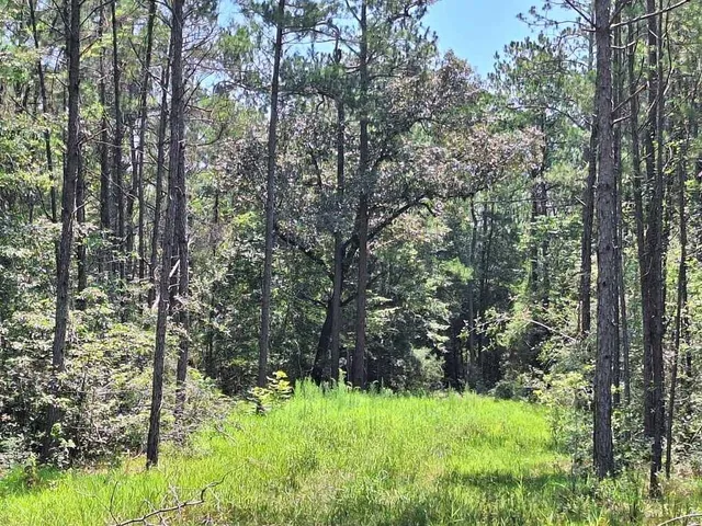 $126,690 | 6851 Private Road 8235, Buna, TX 77612