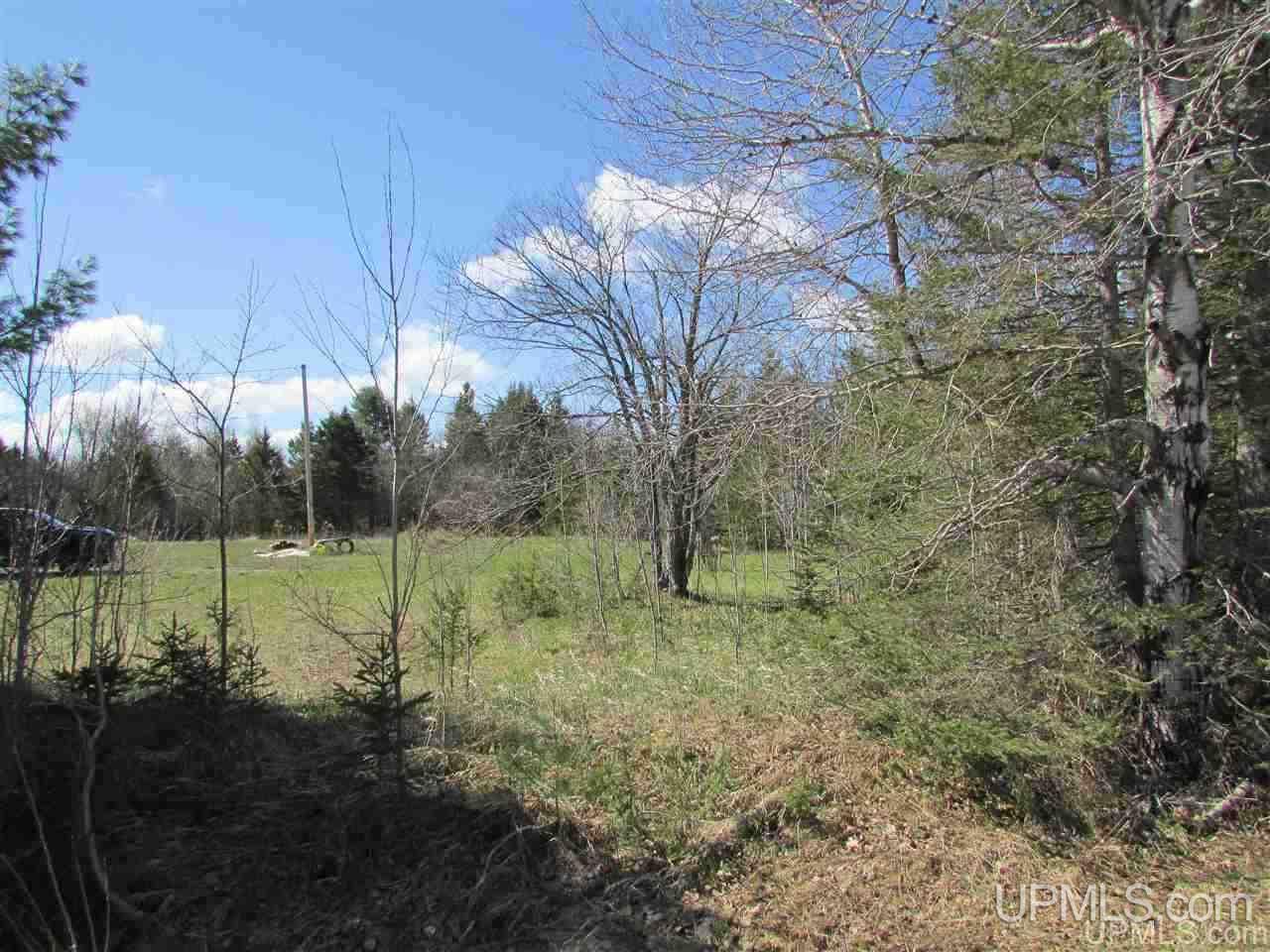 N6495 Co Road Shingleton, MI 49884 - Photo 5 of 17