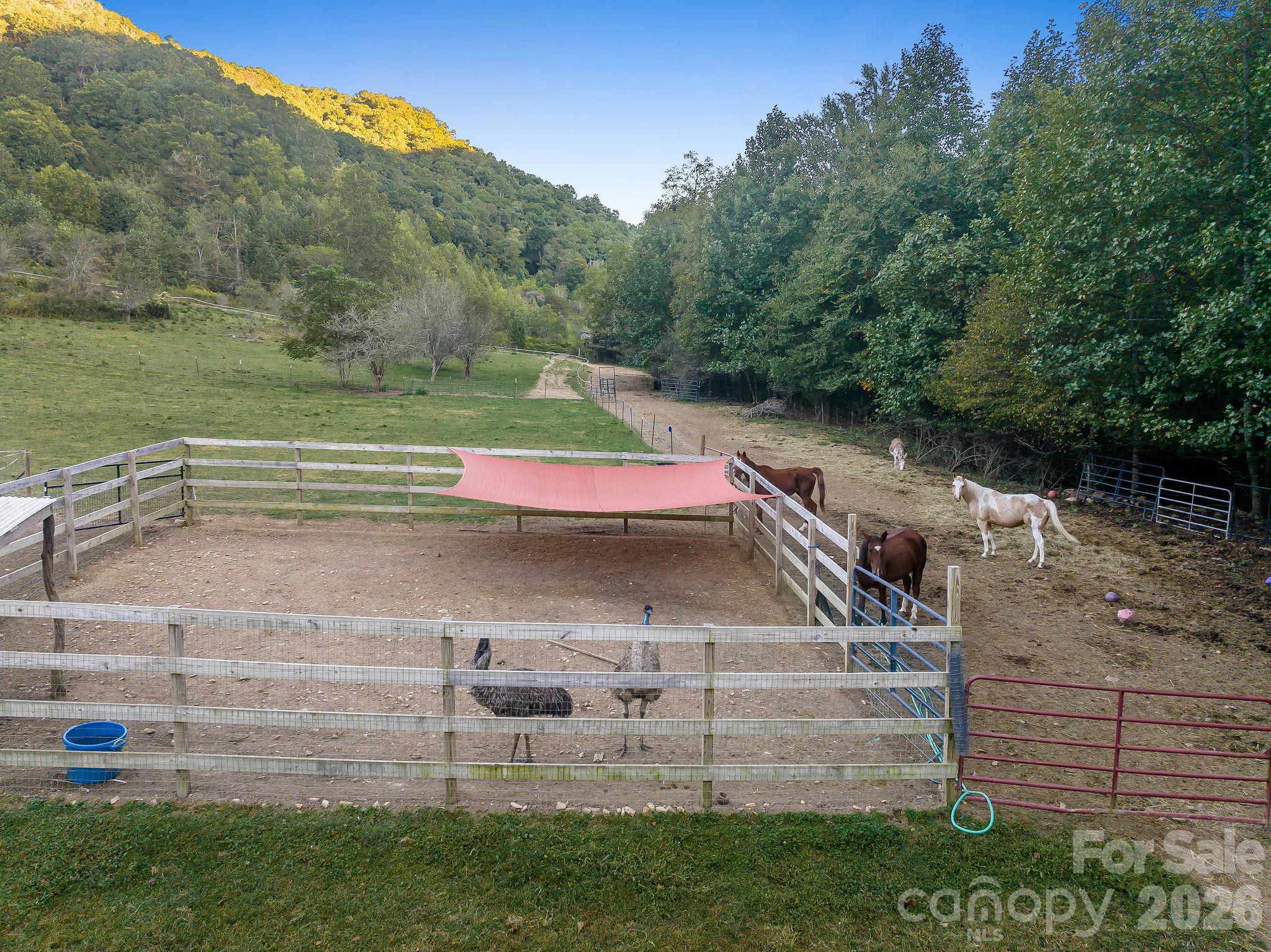 1102 Price Town Road Clyde, NC 28721 - Photo 25 of 39 Gallery Image 25