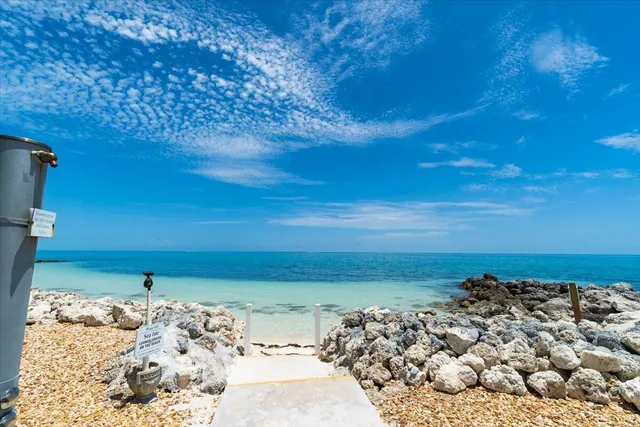 a view of a garden with a slide
