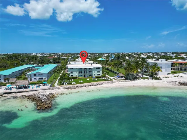 a view of a yard with plants and a palm tree