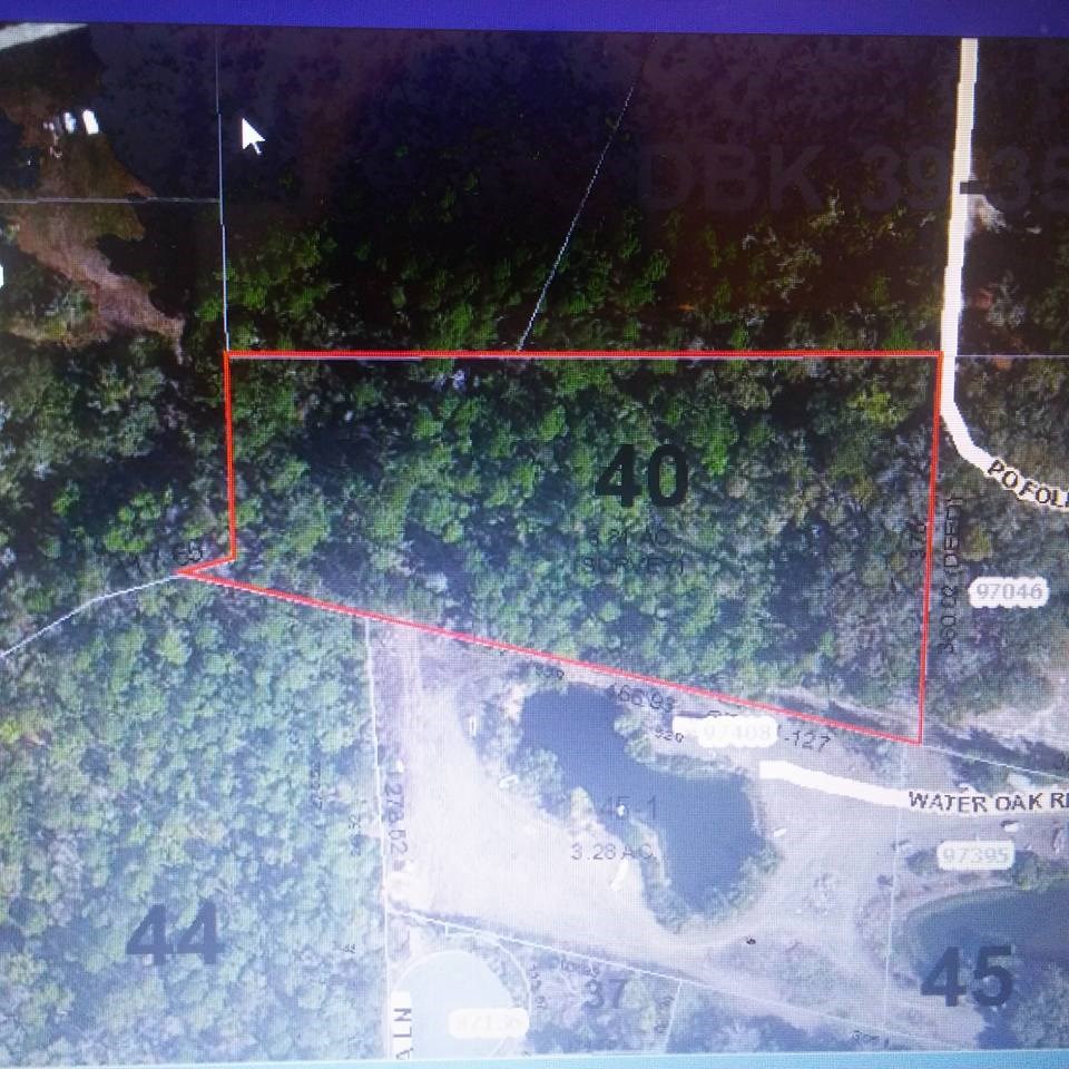 Water Oaks Road Yulee, FL 32097 - Photo 3 of 3 a view of a backyard