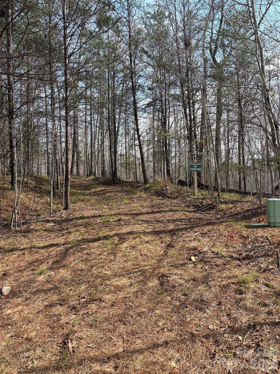 0 Valley Drive, Unit 142 Rutherfordton, NC 28139 - Photo 3 of 15 a view of outdoor space with trees
