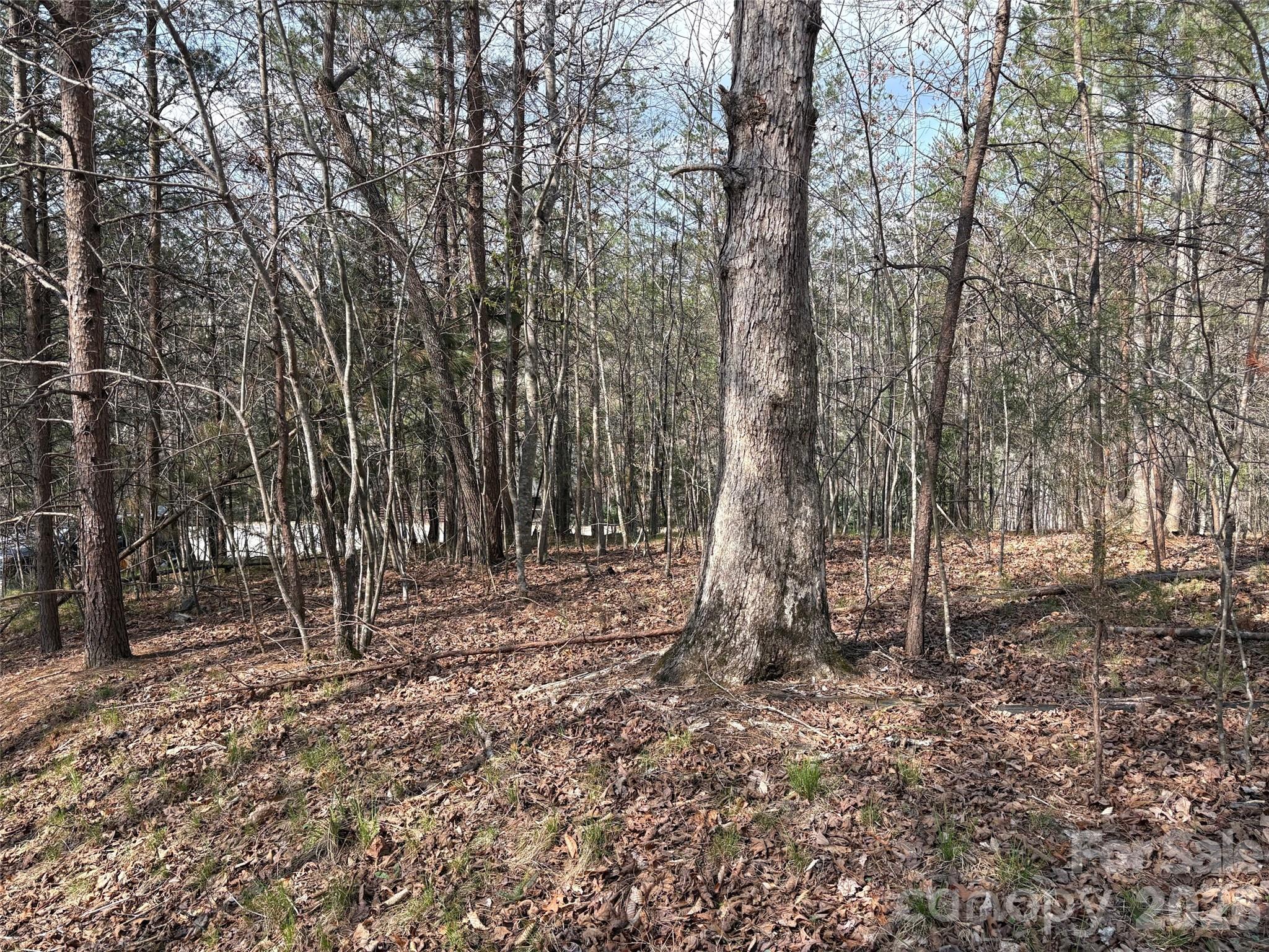 0 Valley Drive, Unit 142 Rutherfordton, NC 28139 - Photo 4 of 15 a backyard of a house with lots of green space