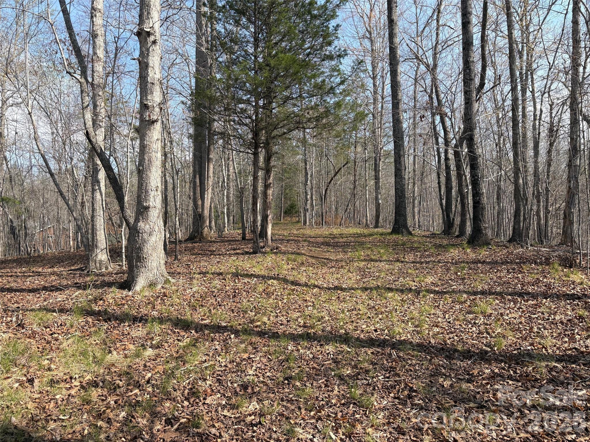 0 Valley Drive, Unit 142 Rutherfordton, NC 28139 - Photo 5 of 15 a house with trees in the background