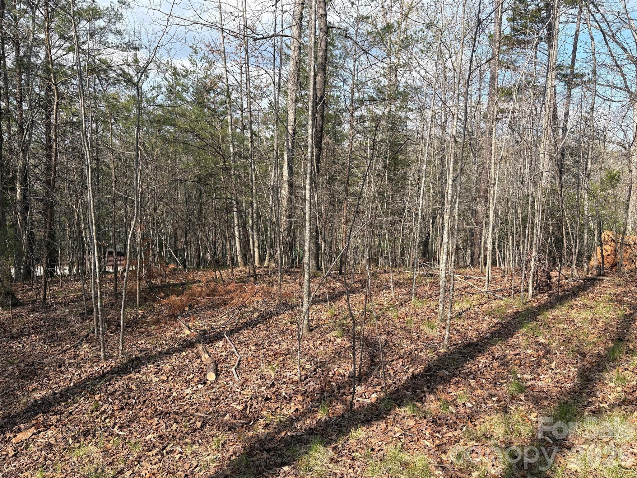 0 Valley Drive, Unit 142 Rutherfordton, NC 28139 - Photo 6 of 15 a view of a forest with trees in the background