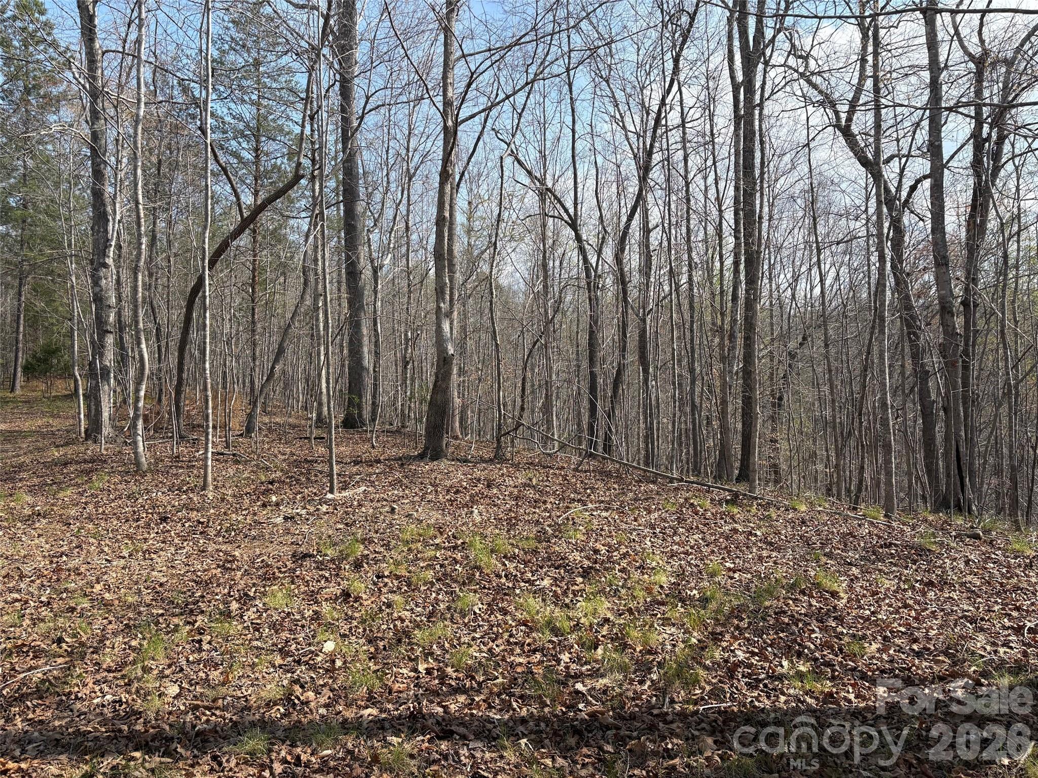 0 Valley Drive, Unit 142 Rutherfordton, NC 28139 - Photo 7 of 15 a big yard with lots of green space