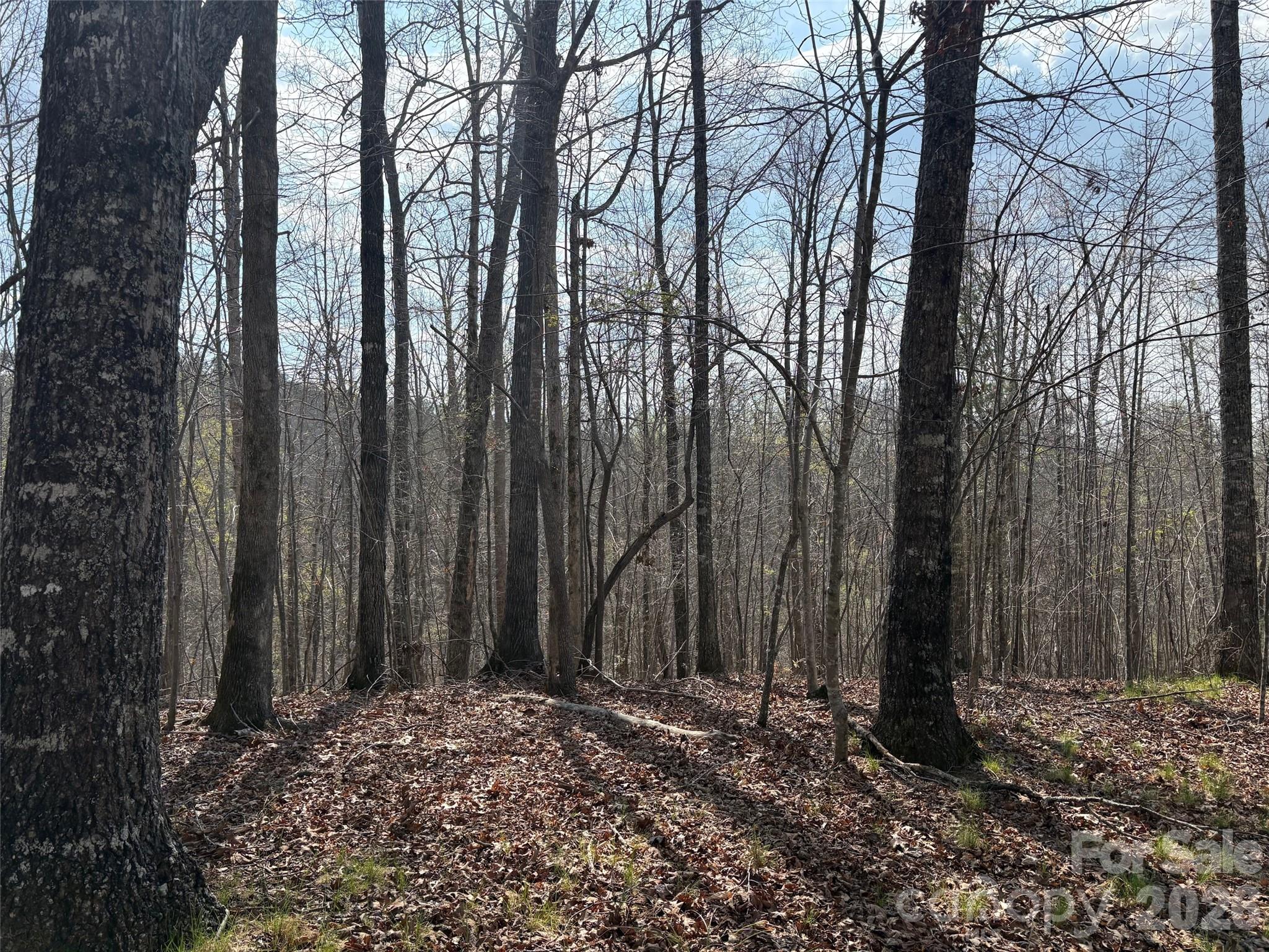 0 Valley Drive, Unit 142 Rutherfordton, NC 28139 - Photo 8 of 15 a view of a backyard of the house