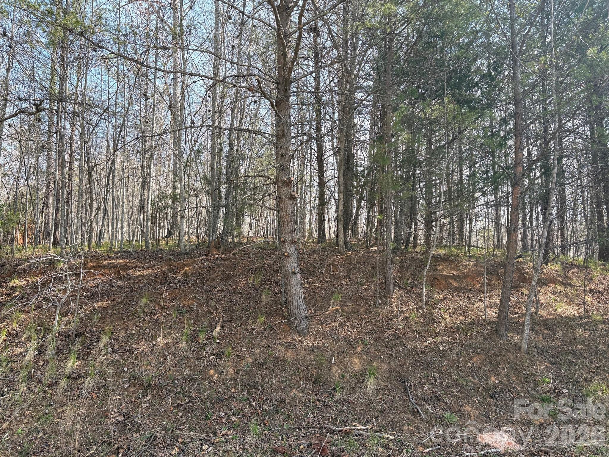 0 Valley Drive, Unit 142 Rutherfordton, NC 28139 - Photo 9 of 15 a view of outdoor space with large trees