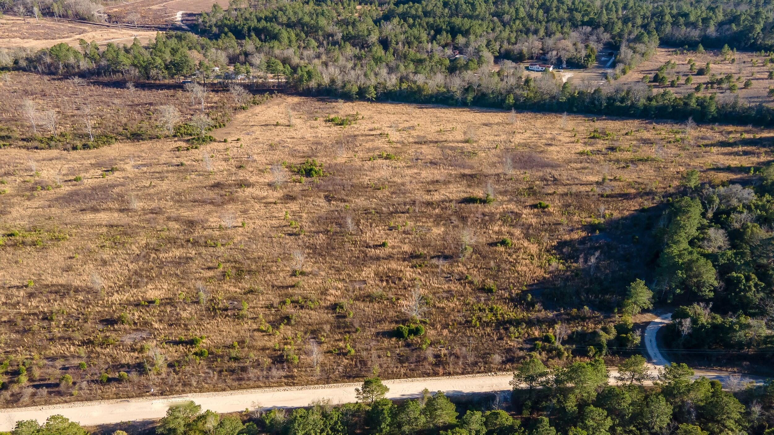 Lot 4 Old Shoals Road Monetta, SC 29105 - Photo 7 of 18