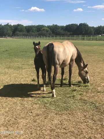$1,150,000 | 7770 Westside Drive, Canutillo, TX 79835