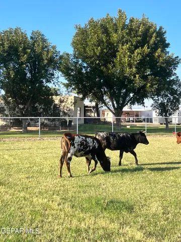 $1,150,000 | 7770 Westside Drive, Canutillo, TX 79835
