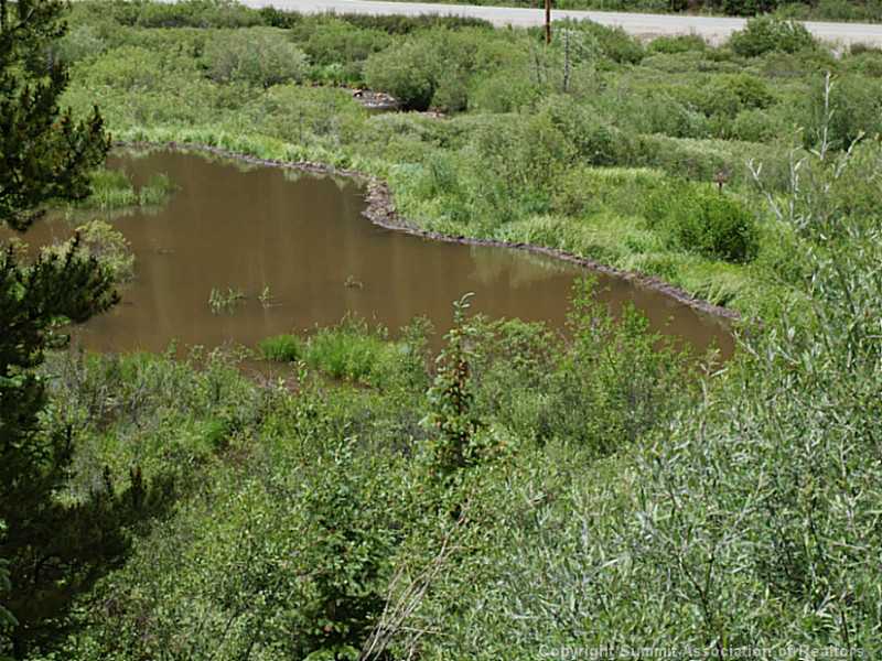 194 Range Road Breckenridge, CO 80424 - Photo 11 of 17 Land. The Blue River is just beyond the Beaver Ponds